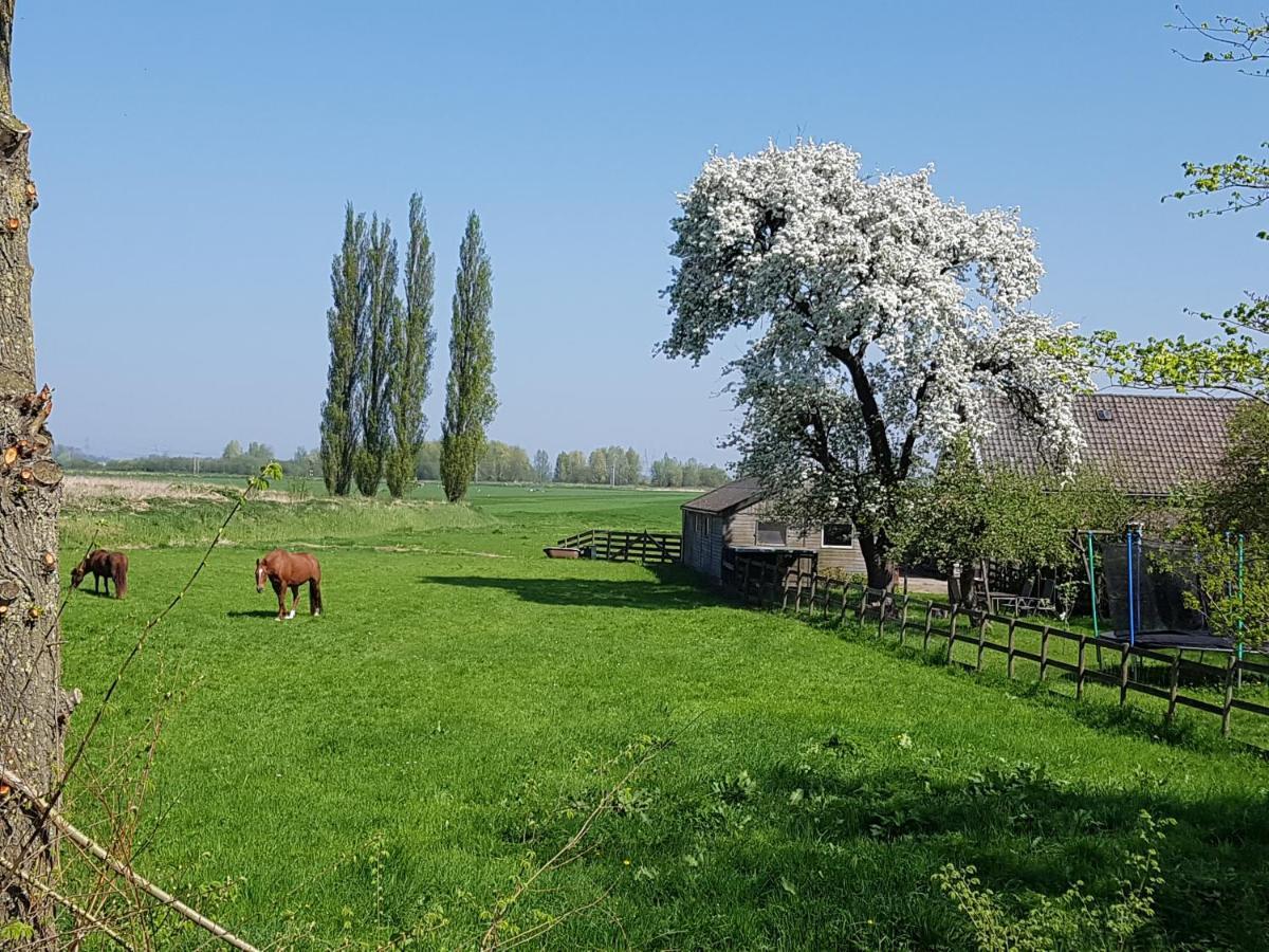 Het Voorhuis Boerderij Hoeve Vrede Best Weesp Exterior foto